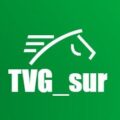 TVGSUR.COM