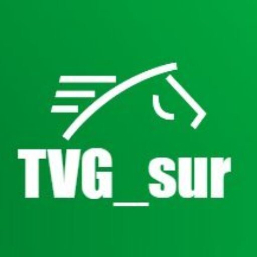TVGSUR.COM